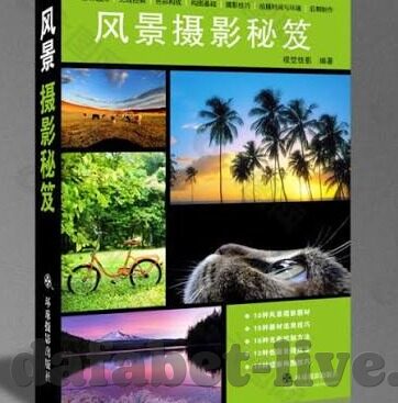 竞彩足球比分直播比分网-竞彩足球比分直播网，球迷的数字战场与信息革命