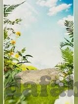 探球网即时足球比分-探球网即时足球比分，足球迷的掌上神器，让每一刻激情都不错过！