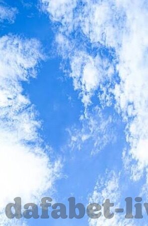 足球比分栏和场地-足球比分栏与场地，双重视角下的绿茵交响