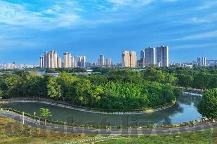 足球比分赛前-足球比分赛前，一场智慧与勇气的博弈盛宴