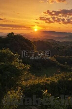 足球完整比分网-深度揭秘，足球完整比分网——球迷的掌中宝与数据金矿